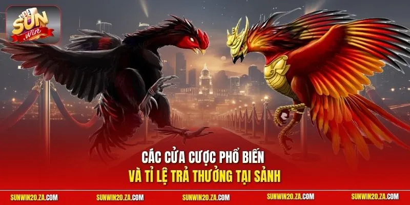 Các cửa cược phổ biến và tỉ lệ trả thưởng tại sảnh